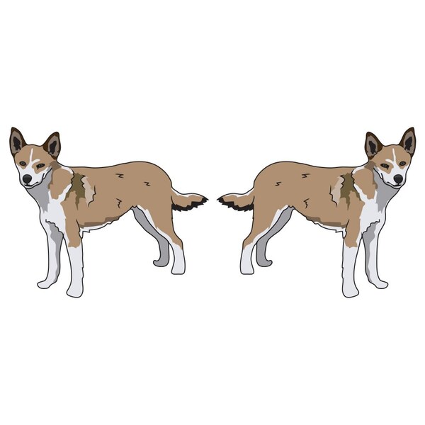 Norwegian Lundehund Dog Decal, Dog Lover Decor Vinyl Sticker